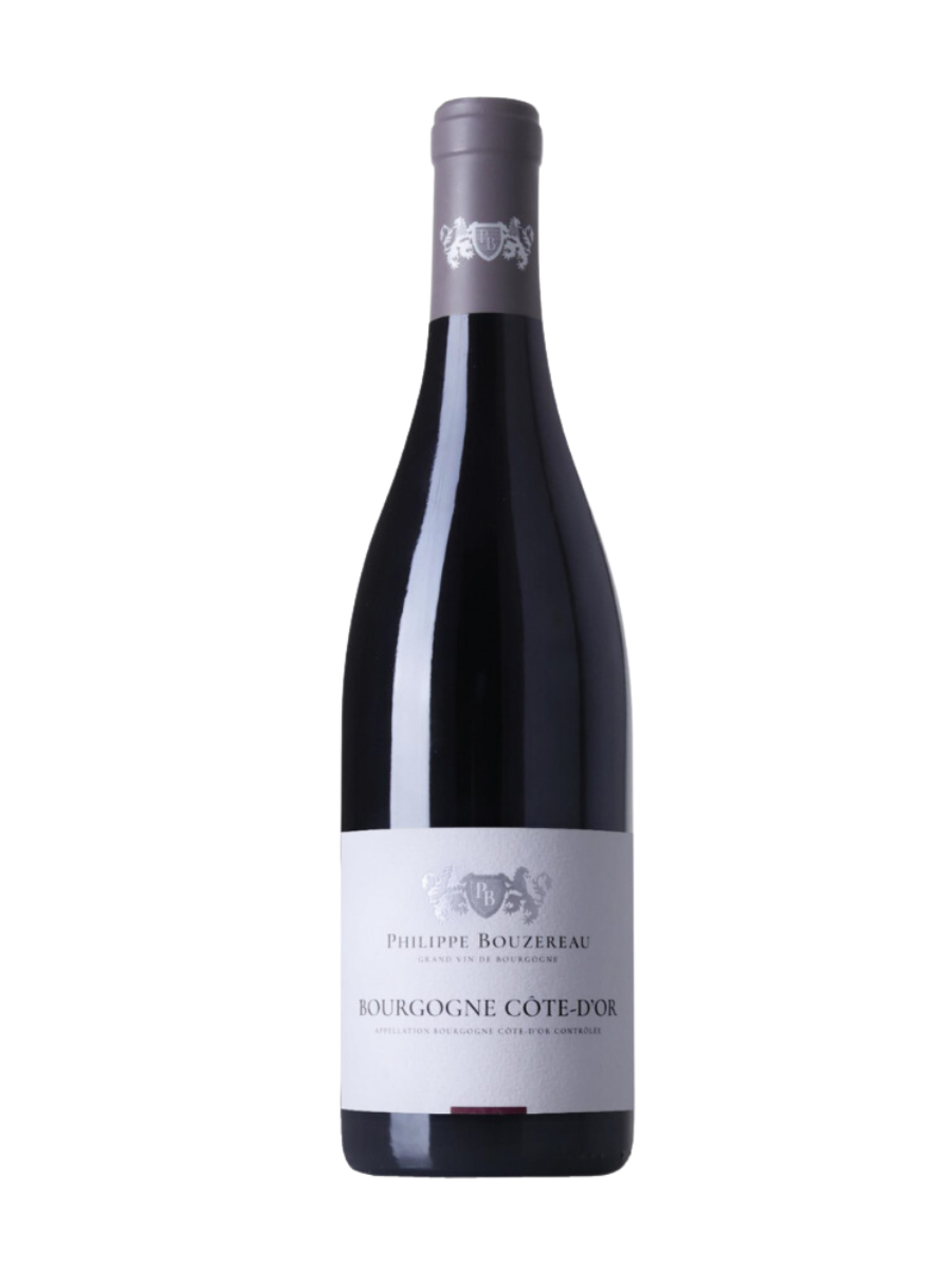 Bourgogne Cote d'Or, Domaine Guy Bocard, France, 2020, Magnum