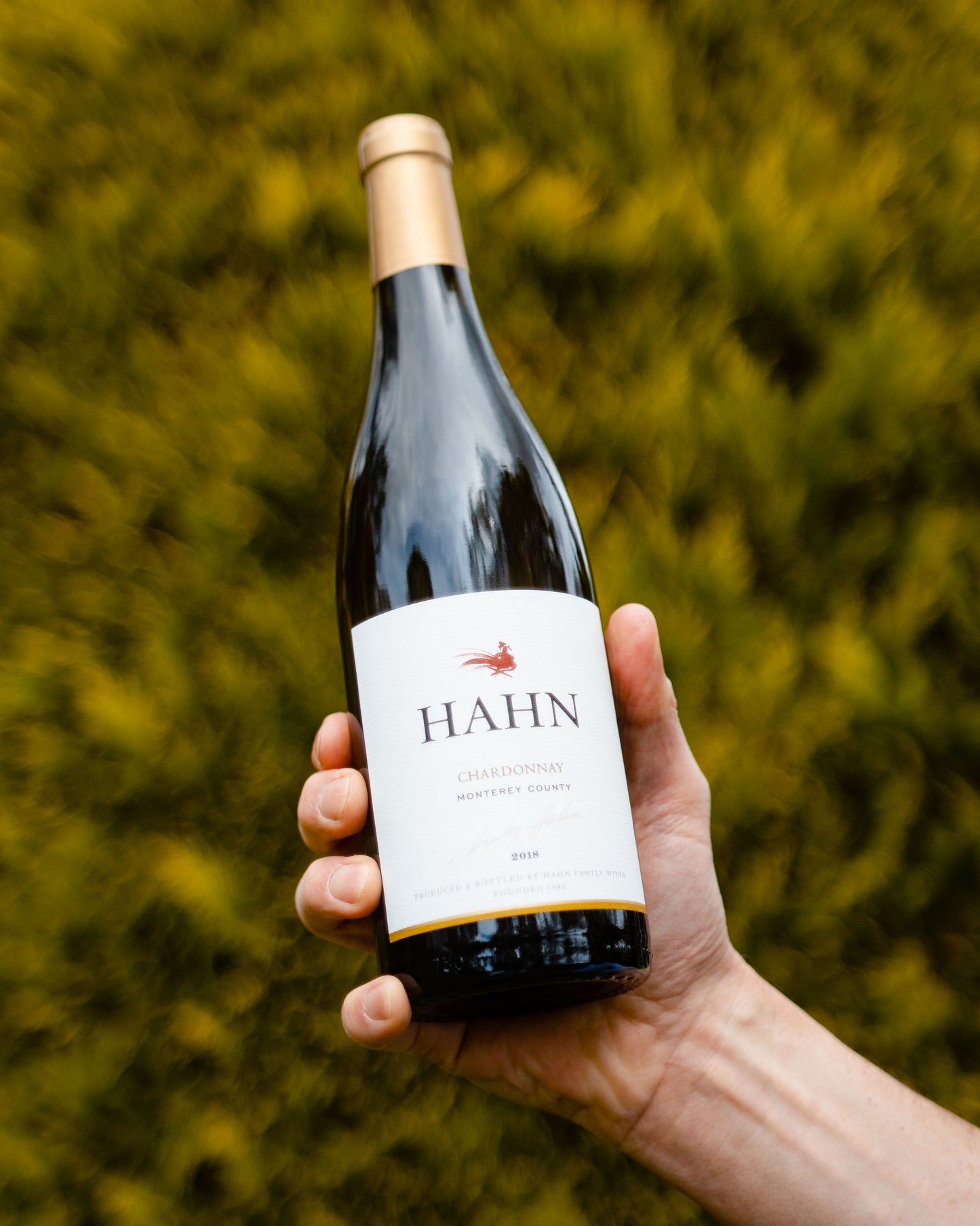 Hahn Family Chardonnay, 2018, Monterey, California
