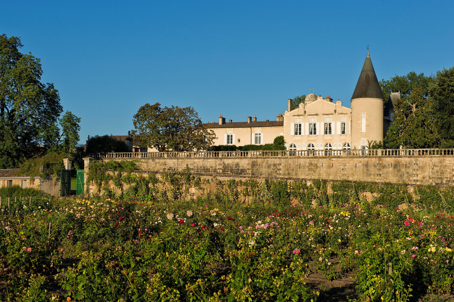 Chateau Lafite-Rothschild,  2019,  Bordeaux, France